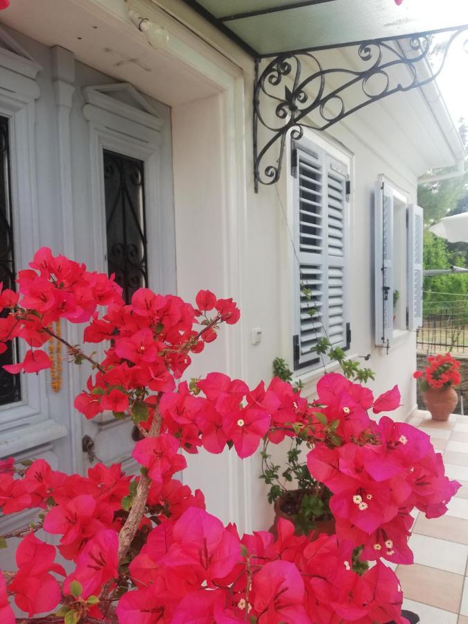 La Casa di Caterina: Nature,Relax&Private Garden Lefkáda Esterno foto